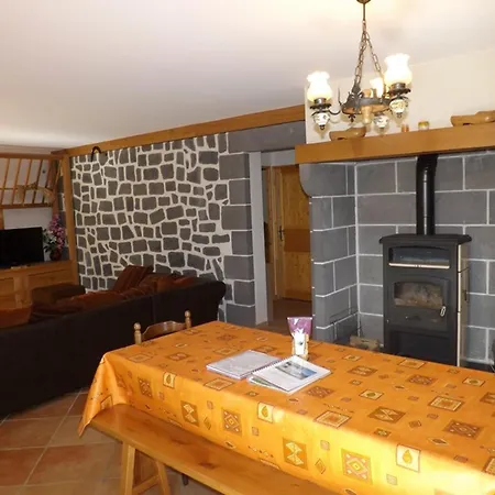 Maison De Caractere Renovee Avec Cheminee, Jardin Et Terrasse Pres De Saint-flour, Ideale Pour Randonnees Et Activites Nautiques. - Fr-1-742-136 度假居 *
