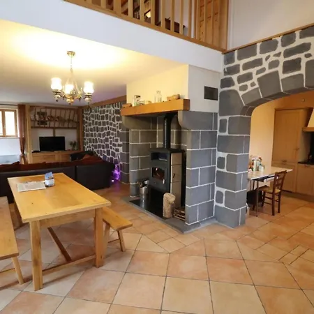 Maison De Caractere Renovee Avec Cheminee, Jardin Et Terrasse Pres De Saint-flour, Ideale Pour Randonnees Et Activites Nautiques. - Fr-1-742-136